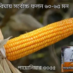 পায়োনিয়ার ভুট্টা ২ কেজির প্যাক